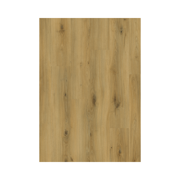 EXPERT CLICK PREMIUM "CHENE BLOND" SOL STRATIFIE 7mm